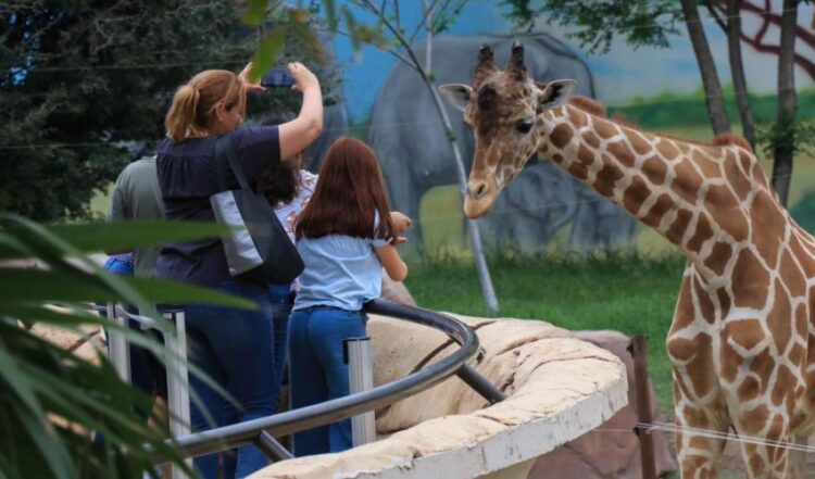 Prepara Zoológico Tamatán festejos por su 80 aniversario